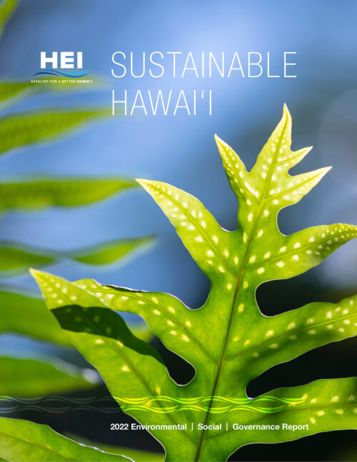 HEI's 2022 Environmental: Social and Governance Report
